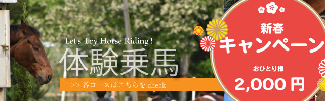 体験乗馬コース