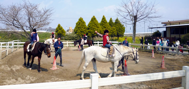 乗馬体験１回コース